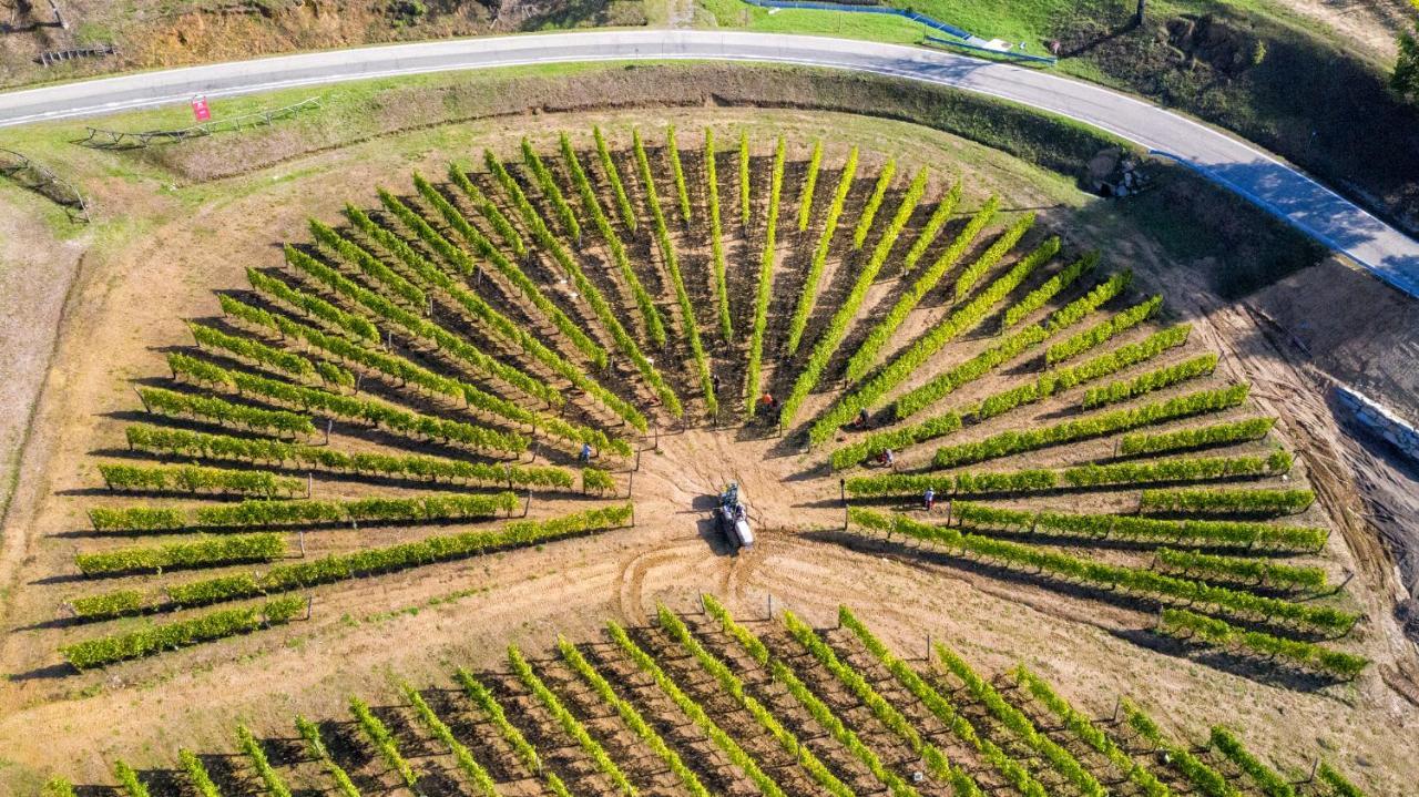 Willa Cascina Bine Novi Ligure Zewnętrze zdjęcie